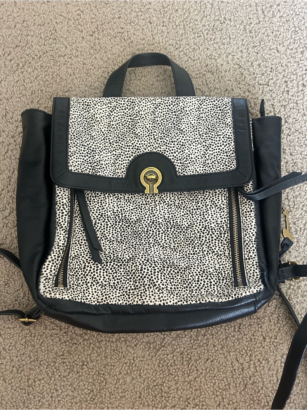 Fossil Backpack